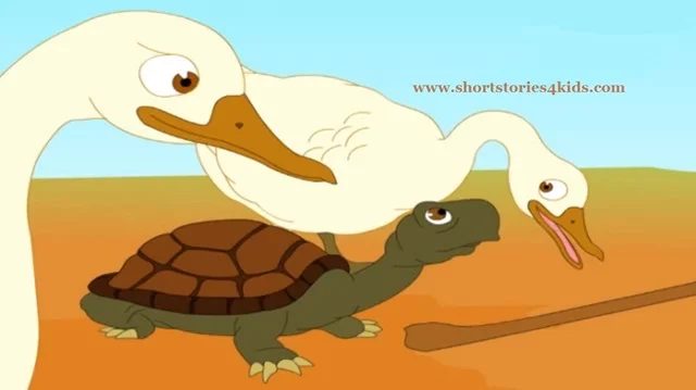 Talkative Tortoise Story