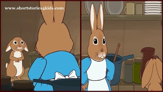 Peter Rabbit Story