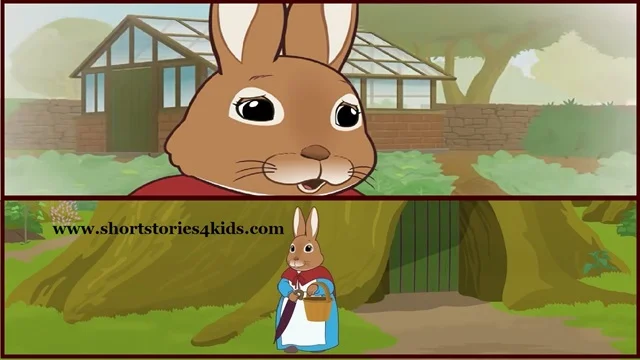 Peter Rabbit Story