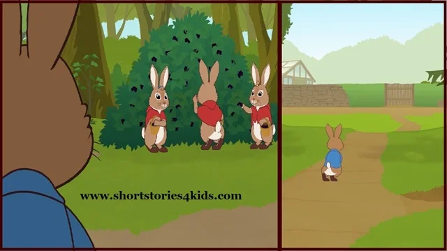 Peter Rabbit Story