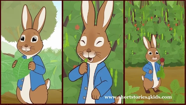 Peter Rabbit Story