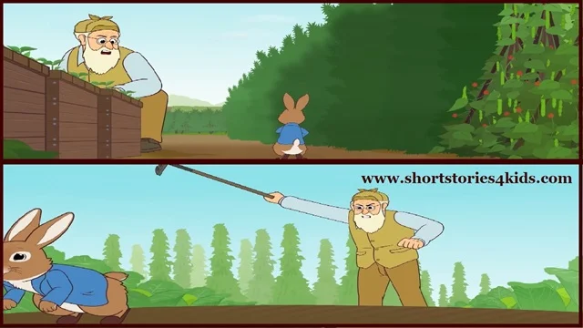 Peter Rabbit Story